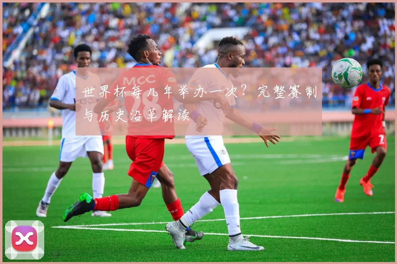 世界杯每几年举办一次？完整赛制与历史沿革解读