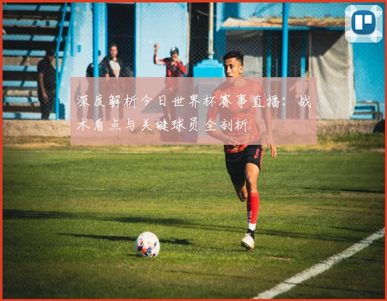 深度解析今日世界杯赛事直播:战术看点与关键球员全剖析